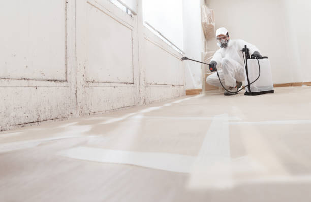 24/7 Emergency Mold Remediation experts in Clearville, PA